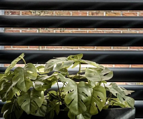 Lovely Private Near Amsterdam Broek in Waterland